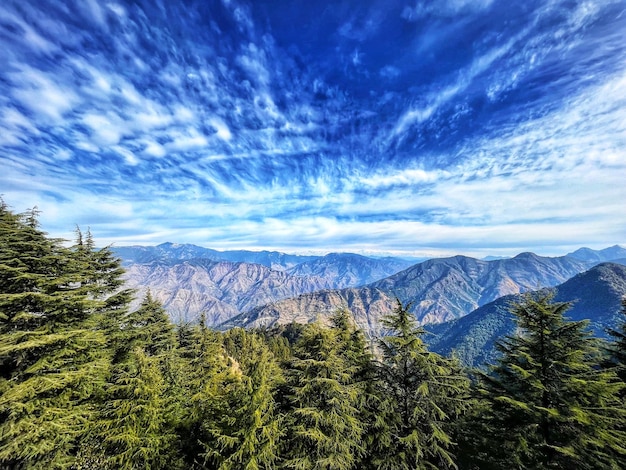 搜狗输入法Linux版最新下载指南2023+官方网站获取路径 搜狗输入法Linux版最新下载指南2023+官方网站获取路径 二